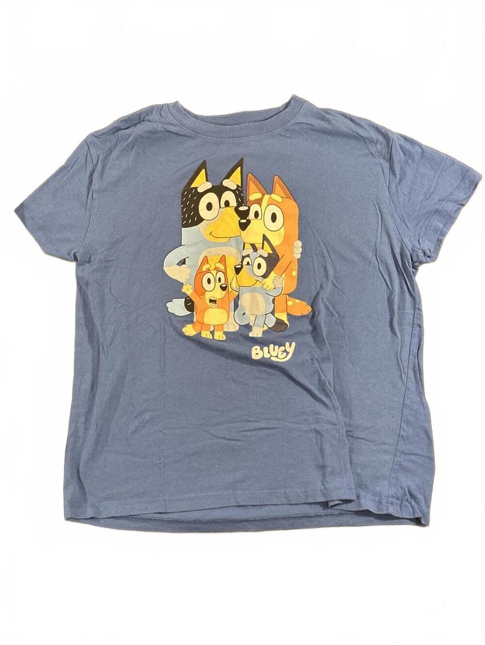 Bluey Men's Large Family Graphic Tee